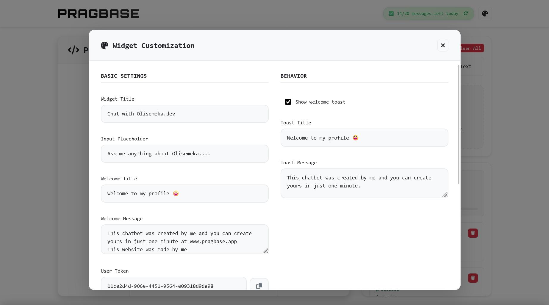 Widget customization options for branding and appearance settings